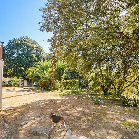 Awesome In Bicchisano With Wifi And 2 Bedrooms * Petreto-Bicchisano